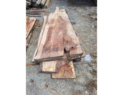 Hardwood Timber Slabs (ON4481) - Lot 10