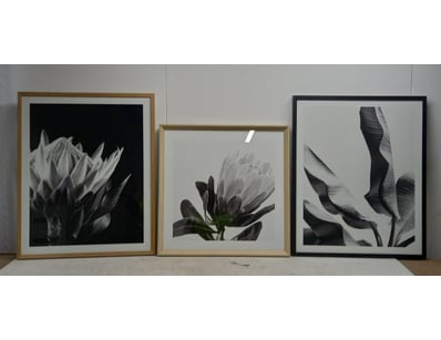 House & Homewares (SA1001) - Lot 4161