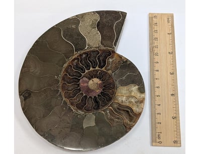 Antiques, Vintage & Interior Treasures (A1006) - Lot 9014