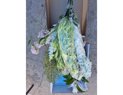 House & Homewares (A91001) - Lot 202