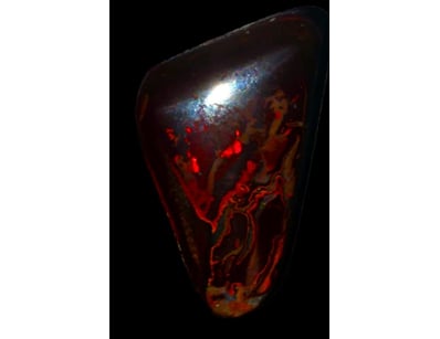 Opal Grandeur (A977) - Lot 6084