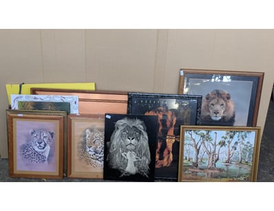 SA Public Trustee Home & Collectables Clearanc... - Lot 4915