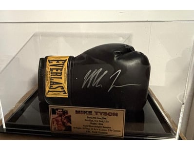 Mancave & Memorabilia (A982) - Lot 800