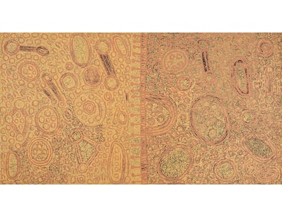 Fine Art (A992) - Lot 4000