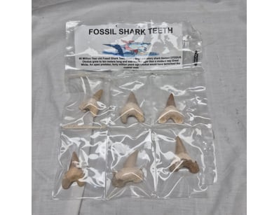 The Curio Collection (A985) - Lot 1142