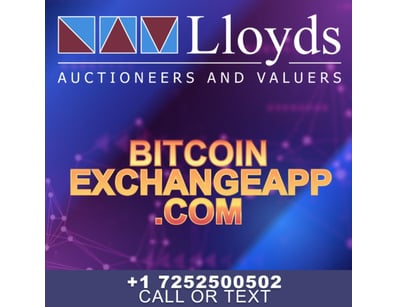 Historic Domain Auction: Bitcoin Portfolio + Ic... - Lot 118