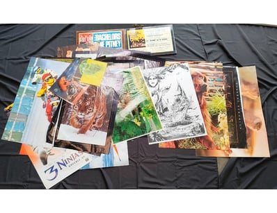 Mancave & Memorabilia (A990) - Lot 7019