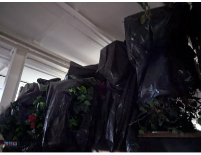Bulk lot of artifical flower stands 

Sold as lot