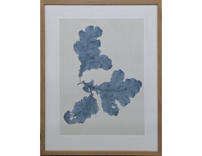 Art Market (A988) - Lot 4097