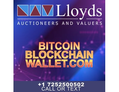 Historic Domain Auction: Bitcoin Portfolio + Ic... - Lot 119