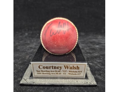 SINGLE VENDOR LIFETIME COLLECTION (A1001) - Lot 946