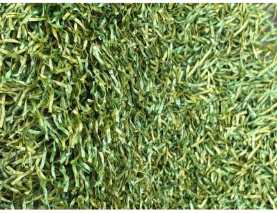 Artificial Turf Clearance (GCA982) - Lot 36