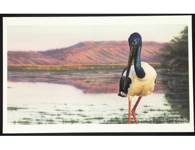 Art Market (A983) - Lot 5017