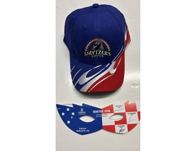 Mancave & Memorabilia (A1003) - Lot 659