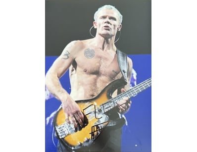 Mancave & Memorabilia (A999) - Lot 600