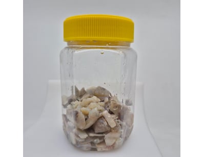 The Curio Collection (A985) - Lot 1302