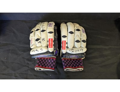 SIGNED 380 PHOENIX ORIGINAL MATTHEW HAYDON BATTING...
