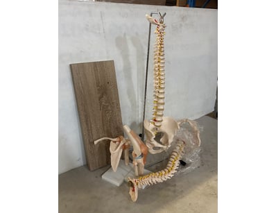 Hope Island End of Project Clearance - Lot 167