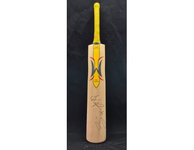 SINGLE VENDOR LIFETIME COLLECTION (A1001) - Lot 898