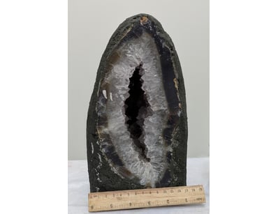 The Curio Collection (A999) - Lot 559