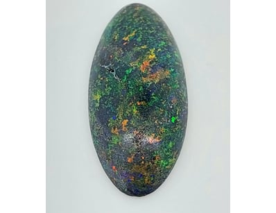 Opal Grandeur (A979) - Lot 1031
