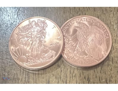1-OUNCE COPPER ROUND COIN- UNC  



294198+1