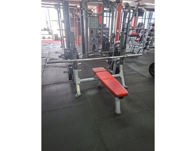 Gym Equipment Liquidation (ON11749) - Lot 5