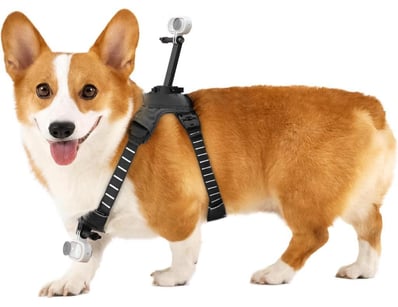 Tech, Toys & Appliances (VICA992) - Lot 2558