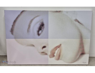 ANALISA CORR

Photgraph On Canvas

Title: Untitled...