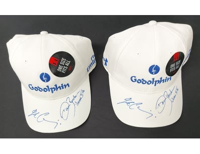 Mancave & Memorabilia (A1005) - Lot 1604