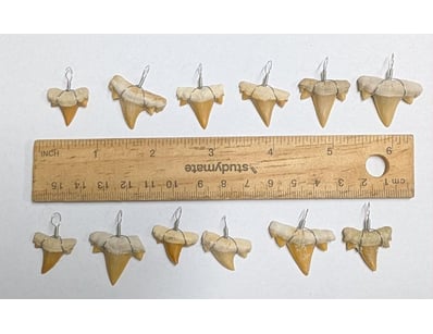 The Curio Collection (A985) - Lot 1127