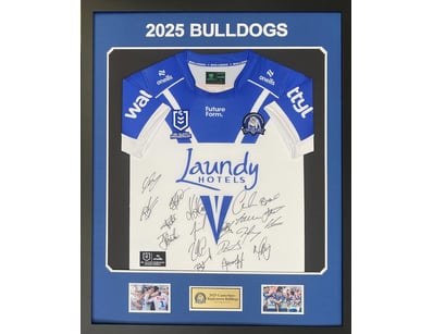 Mancave & Memorabilia (A991) - Lot 303