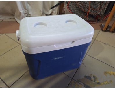 Food/Drink Cooler

