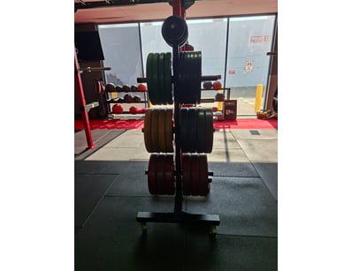 Gym Equipment Liquidation (ON11749) - Lot 31
