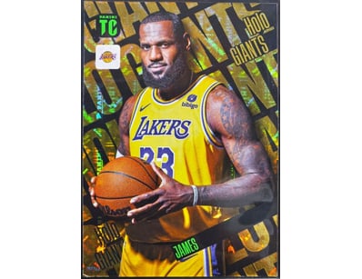 LEBRON JAMES - 2023-24 PANINI NBA TOPS CLASS BASKE...
