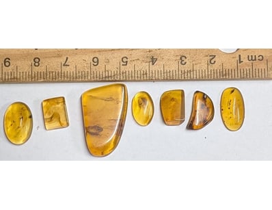 The Curio Collection (A985) - Lot 1126