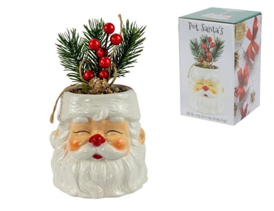 Sport, Leisure & Lifestyle (A980) - Lot 2148