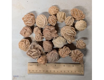 KILO DESERT ROSE MINERAL SPECIMEN CRYSTALS FROM MO...