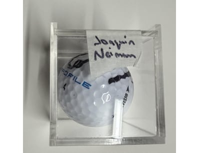 Mancave & Memorabilia (A995) - Lot 604