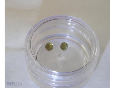 2.9MM X2 NATURAL AUSTRALIAN SAPPHIRES       

 


...