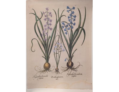 Antiques, Vintage & Interior Treasures (A999) - Lot 595