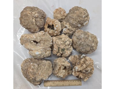 The Curio Collection (A991) - Lot 503