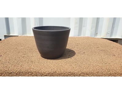 Plenty of Plants - Trees & Shrubs (NSWA997) - Lot 13