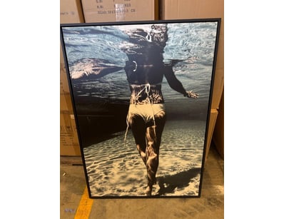 Framed photographic print

Dimensions: 74cm x 10...