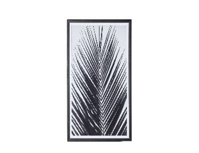 RRP: $450, Monochrome Palm Framed Art, 50594134117...