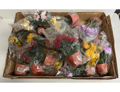 Sport, Leisure & Lifestyle (SAA1005) - Lot 4038