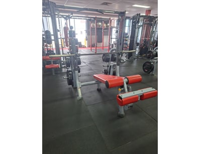 Gym Equipment Liquidation (ON11749) - Lot 6