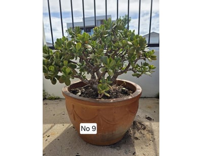 House & Homewares (A91001) - Lot 1374