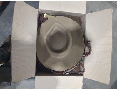 Costume, Assorted Adult Costumes qty to box

Sol...