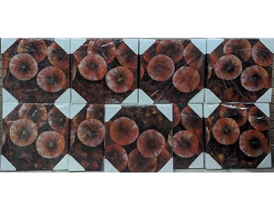 Art Market (A976) - Lot 5029